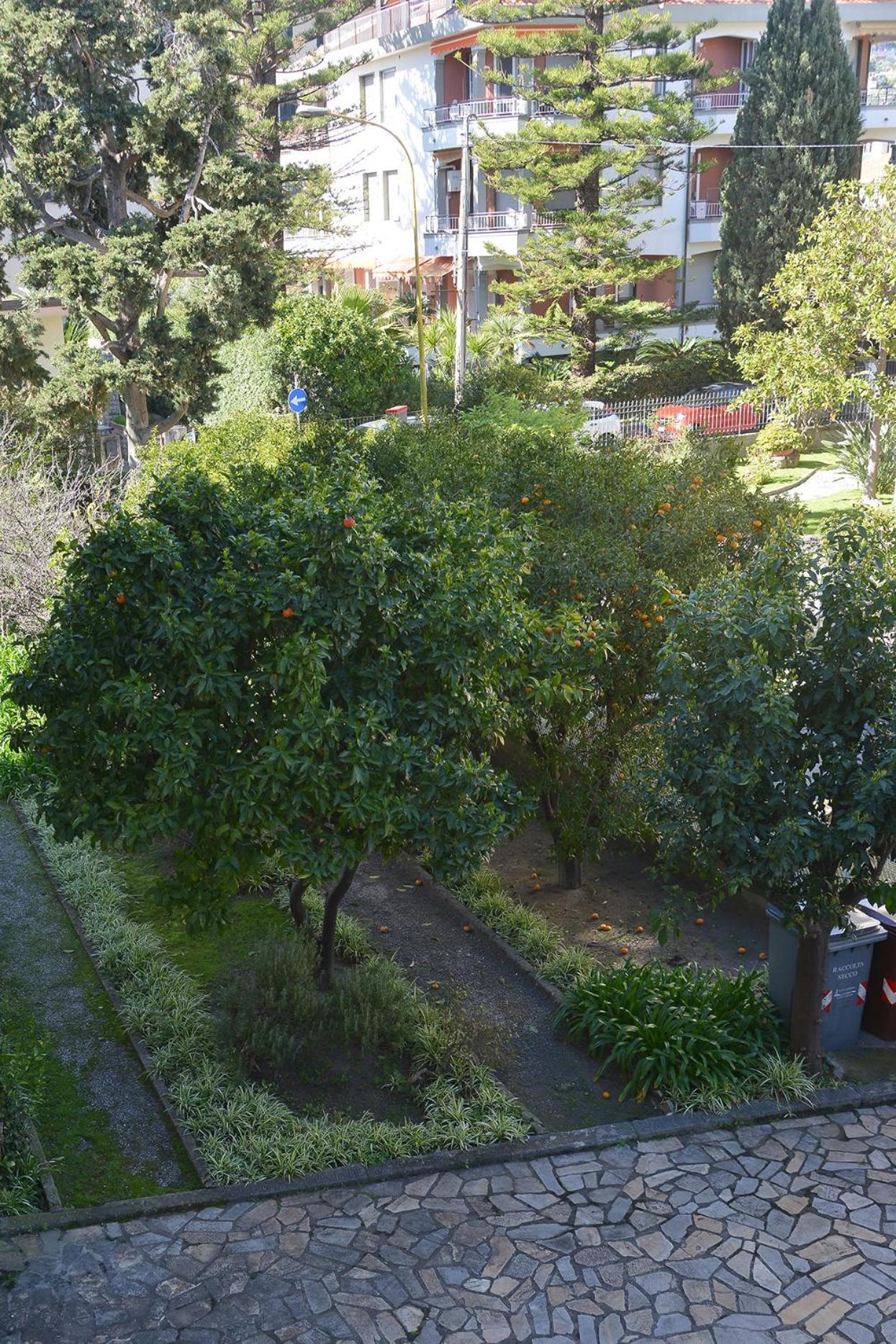 Appartamento Ginestra Bordighera Luaran gambar